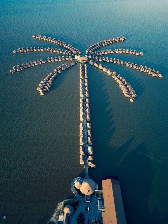 Beginner Tips for Backyard Birdwatching: A Simple Guide to Get Started